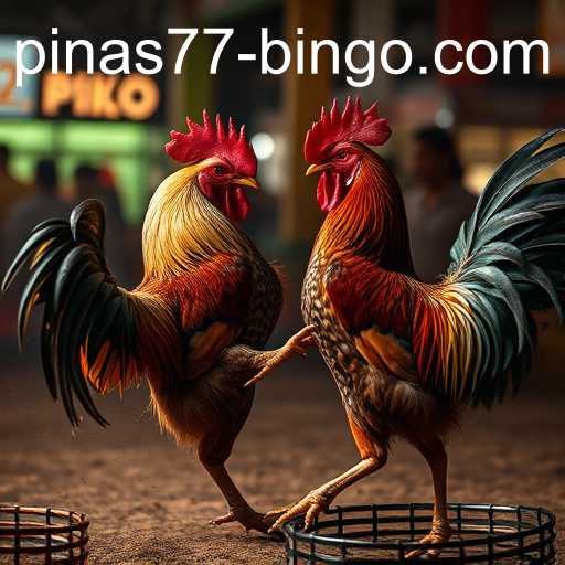 Exploring the World of Online Sabong: The Case of pinas77.bingo